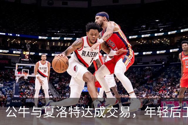 公牛与夏洛特达成交易，年轻后卫被替换为老将射手